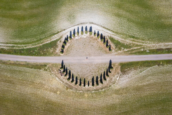 Aerial view of a person admiring the Cypresses Ring near the famous San Quirico d'Orcia cypresses. Val d'Orcia, Tuscany, Italy.