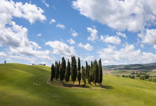 Aerial view of the famous San Quirico d'Orcia cypresses in spring. Val d'Orcia, Tuscany, Italy.