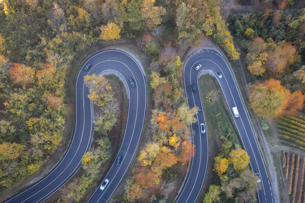 Aerial view of the winding road leading to the Castello di La Volta. Barolo, Barolo wine region, Langhe, Piedmont, Italy, Europe.