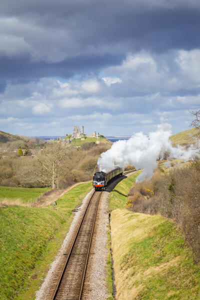 View of a steam train on the Swanage railway near Corfe Castle. Dorset, England, United Kingdom.