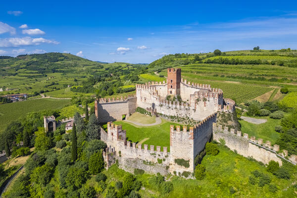 Aerial view of the Scaligero castle of Soave in summer. Verona district, Veneto, Italy, Europe.