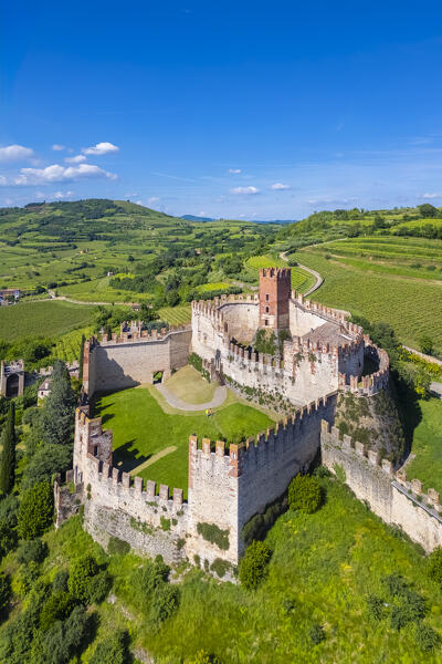 Aerial view of the Scaligero castle of Soave in summer. Verona district, Veneto, Italy, Europe.