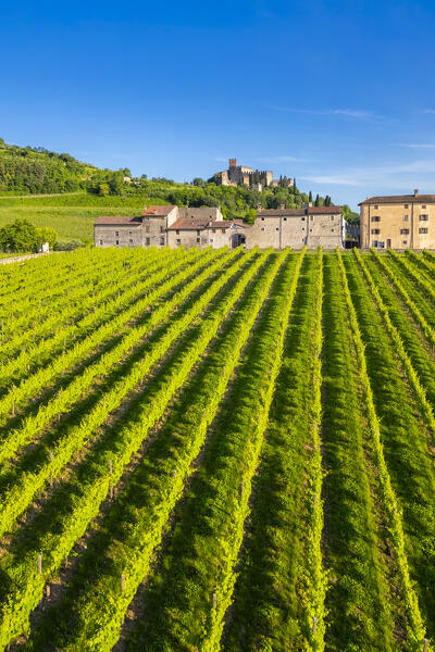 Aerial view of the Santuario di Santa Maria alla bassanella and the Scaligero castle of Soave in the distance. Verona district, Veneto, Italy, Europe.
