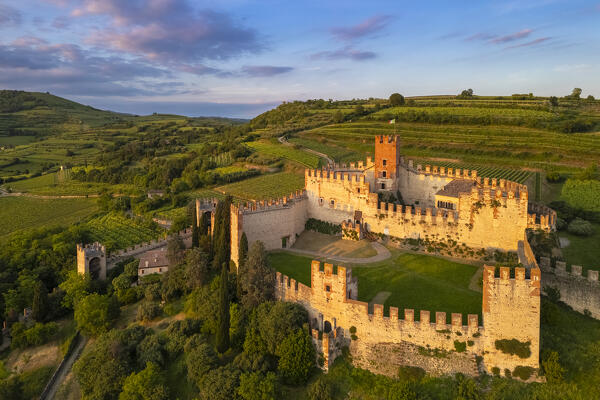 Aerial view of the Scaligero castle of Soave at sunset in summer. Verona district, Veneto, Italy, Europe.