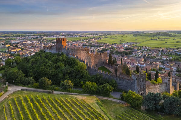 Aerial view of the Scaligero castle of Soave at sunset in summer. Verona district, Veneto, Italy, Europe.