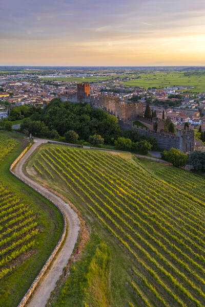 Aerial view of the Scaligero castle of Soave at sunset in summer. Verona district, Veneto, Italy, Europe.