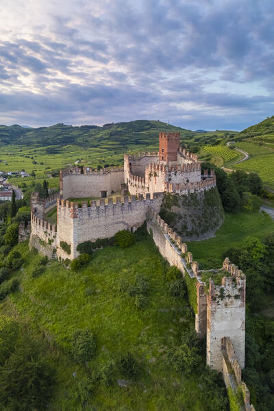 Aerial view of the Scaligero castle of Soave at sunset in summer. Verona district, Veneto, Italy, Europe.