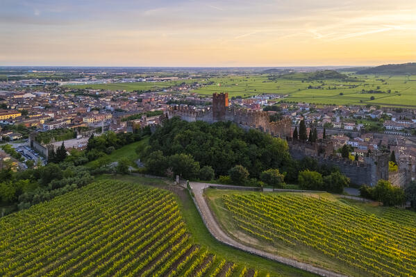 Aerial view of the Scaligero castle of Soave at sunset in summer. Verona district, Veneto, Italy, Europe.