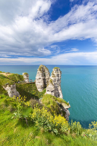 View of the cliffs of Etretat, Octeville sur Mer, Le Havre, Seine Maritime, Normandy, France, Western Europe.