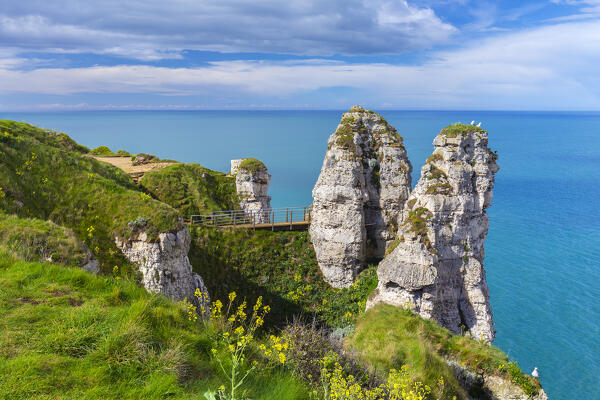 View of the cliffs of Etretat, Octeville sur Mer, Le Havre, Seine Maritime, Normandy, France, Western Europe.