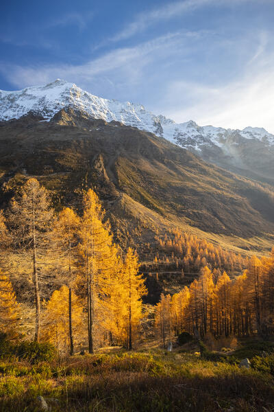 View of the Lotschental valley in autumn at sunset. Bernese Alps, canton of Valais, Switzerland.