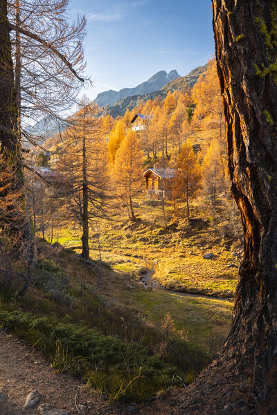 View of the Lotschental valley in autumn at sunset. Bernese Alps, canton of Valais, Switzerland.