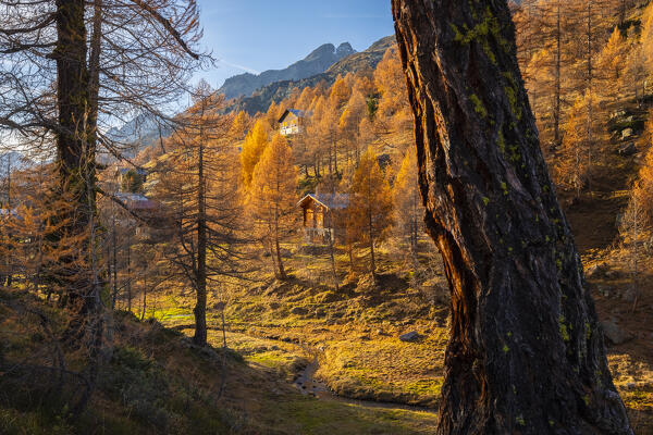 View of the Lotschental valley in autumn at sunset. Bernese Alps, canton of Valais, Switzerland.