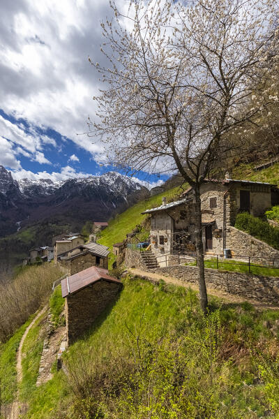 View of a group of houses in the small village of Valtorta in spring. Valtorta, Bergamo province, Brembana valley, Lombardy, Italy, Europe.