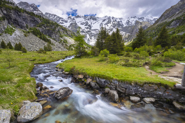 Summer view of the Aviolo lake in the Adamello park. Edolo,Brescia province, Italy, Europe.
