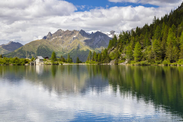 Summer view of the Aviolo lake in the Adamello park. Edolo,Brescia province, Italy, Europe.