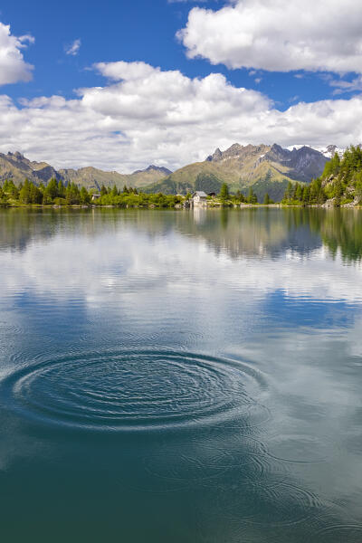 Summer view of the Aviolo lake in the Adamello park. Edolo,Brescia province, Italy, Europe.