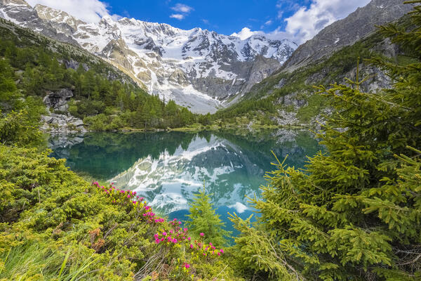Summer view of the Aviolo lake in the Adamello park. Edolo,Brescia province, Italy, Europe.