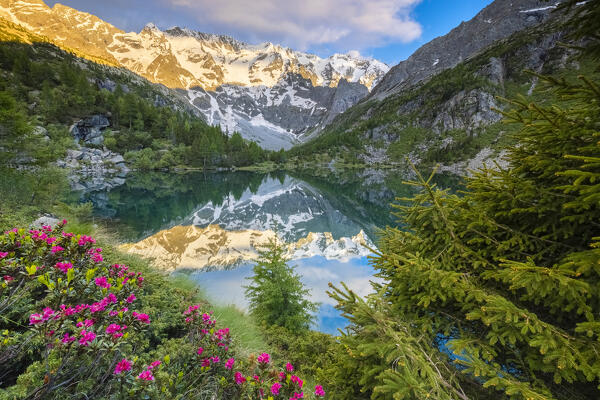 Summer view of the Aviolo lake in the Adamello park. Edolo,Brescia province, Italy, Europe.
