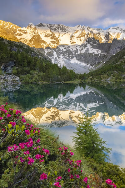 Summer view of the Aviolo lake in the Adamello park. Edolo,Brescia province, Italy, Europe.