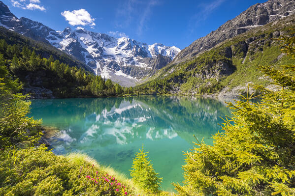Summer view of the Aviolo lake in the Adamello park. Edolo,Brescia province, Italy, Europe.