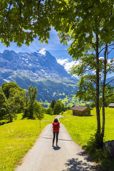 View of a girl walking the trail that leads to the center of Grindelwald village. Lauterbrunnen, Canton of Bern, Switzerland, Europe.