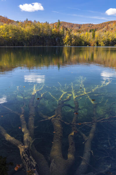 View of Plitvice lakes in autumn. Plitvička jezera National Park, Lika-Senj county, Karlovac region, Croatia, Eastern Europe.
