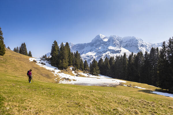 Spring blooming of crocus flowers at Baita Bassa di Zulino. Valcanale, Ardesio, Orobie alps, Lombardy district, Bergamo province, Italy, Europe.