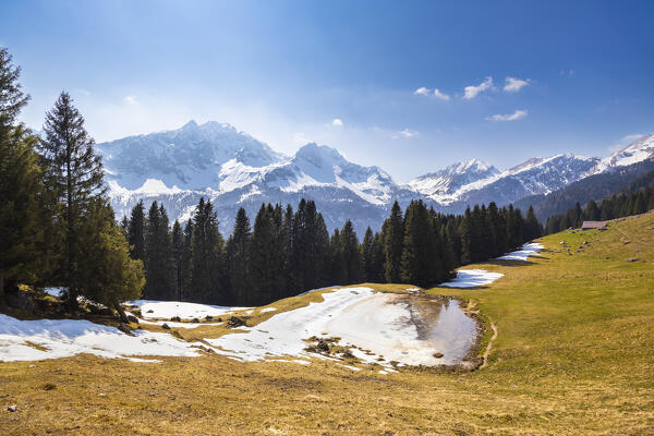 Spring blooming of crocus flowers at Baita Bassa di Zulino. Valcanale, Ardesio, Orobie alps, Lombardy district, Bergamo province, Italy, Europe.