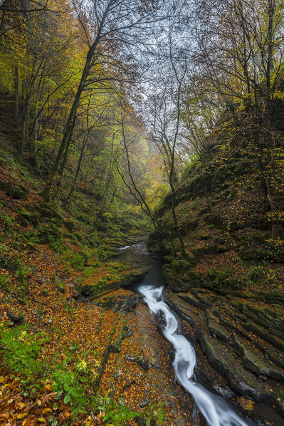Autumn on the river Breggia, near Bruzella, Muggio Valley, Mendrisio District, Canton Ticino, Switzerland.