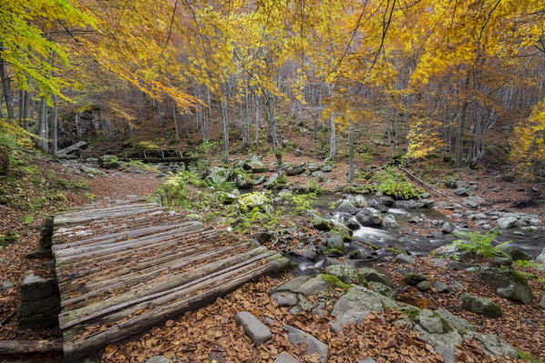 Wooden bridges at the Dardagna waterfalls, Corno Alle Scale Regional Park, Lizzano in Belvedere, Emilia Romagna, Italy.