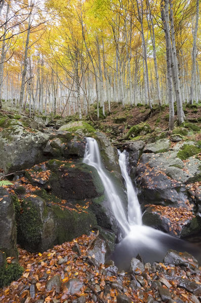 Dardagna waterfalls in autumn, Corno Alle Scale Regional Park, Lizzano in Belvedere, Emilia Romagna, Italy.