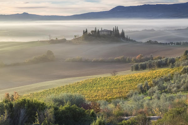Tuscan countryside at sunrise, Podere Belvedere, San Quirico d'Orcia, Val d'Orcia, Tuscany, Italy.
