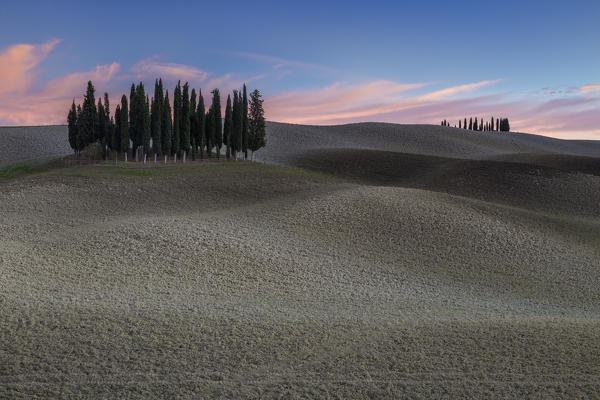 Autumnal sunset at the cypresses near San Quirico d'Orcia, Val d'Orcia, Tuscany, Italy.