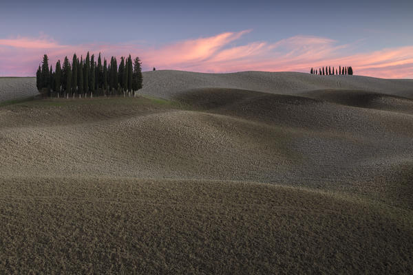 Sunset at the cypresses near San Quirico d'Orcia, Val d'Orcia, Tuscany, Italy.