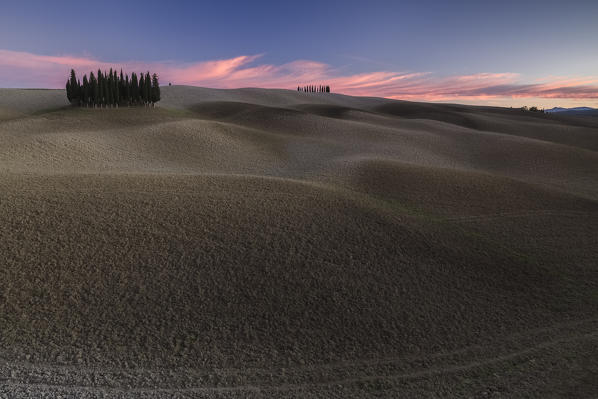 Sunset near San Quirico d'Orcia cypresses, Val d'Orcia, Tuscany, Italy.