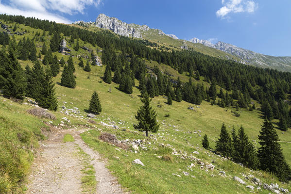 Trail to the Baita Cornetto, under the Presolana mountain, Castione della Presolana, Val Seriana, Bergamo district, Lombardy, Italy.