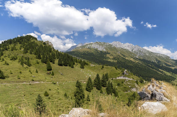 Trail to the Baita Cornetto, under the Presolana mountain, Castione della Presolana, Val Seriana, Bergamo district, Lombardy, Italy.