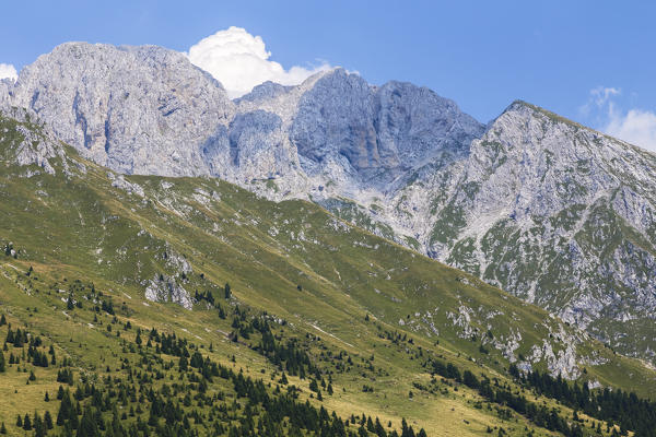 Trail to the Baita Cornetto, under the Presolana mountain, Castione della Presolana, Val Seriana, Bergamo district, Lombardy, Italy.