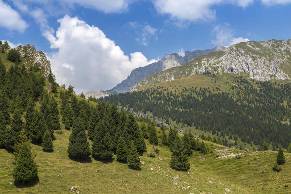 Trail to the Baita Cornetto, under the Presolana mountain, Castione della Presolana, Val Seriana, Bergamo district, Lombardy, Italy.