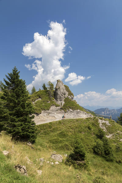 Trail to the Baita Cornetto, under the Presolana mountain, Castione della Presolana, Val Seriana, Bergamo district, Lombardy, Italy.