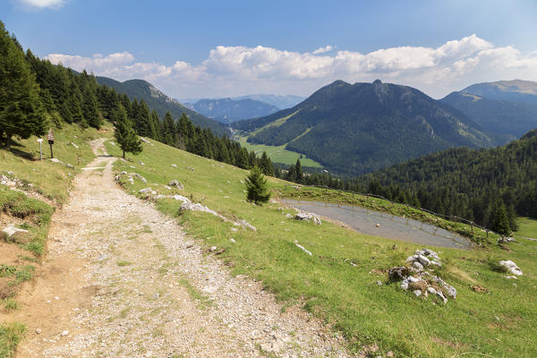 Trail to the Baita Cornetto, under the Presolana mountain, Castione della Presolana, Val Seriana, Bergamo district, Lombardy, Italy.