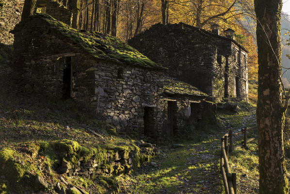 Autumn at Mulini di Piero, Curiglia con Monteviasco, Veddasca valley, Varese district, Lombardy, Italy.