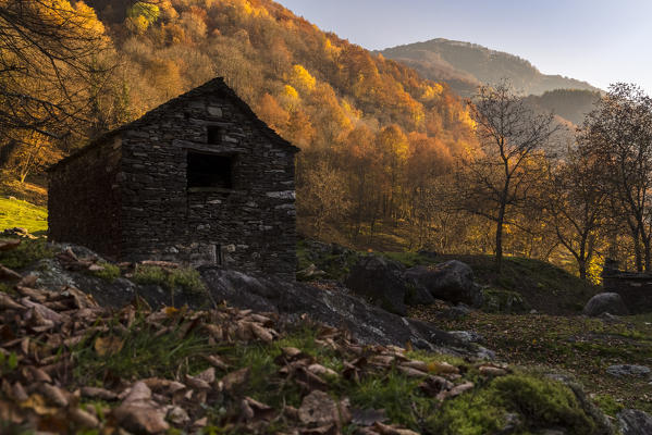 Autumn at Mulini di Piero, Curiglia con Monteviasco, Veddasca valley, Varese district, Lombardy, Italy.