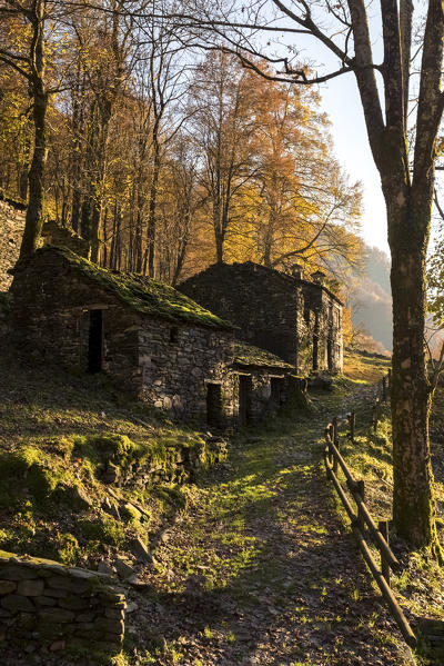 Autumn at Mulini di Piero, Curiglia con Monteviasco, Veddasca valley, Varese district, Lombardy, Italy.