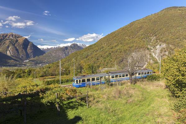 Vigezzina train passes through the autumnal colors in Verigo, Trontano, Parco Nazionale della Val Grande, Val d'Ossola, Piedmont, Italy.