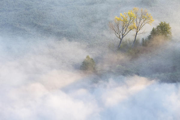 Mist over Adda river seen from Airuno at the Santuario Madonna della Rocchetta, Airuno, Parco dell'Adda Nord, Lecco province, Brianza, Lombardy, Italy.