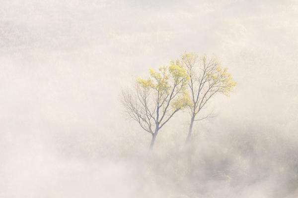 Mist over Adda river seen from Airuno at the Santuario Madonna della Rocchetta, Airuno, Parco dell'Adda Nord, Lecco province, Brianza, Lombardy, Italy.