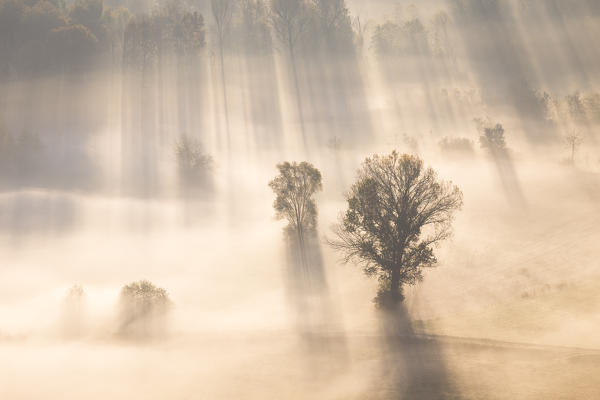 Mist over Adda river seen from Airuno at the Santuario Madonna della Rocchetta, Airuno, Parco dell'Adda Nord, Lecco province, Brianza, Lombardy, Italy.