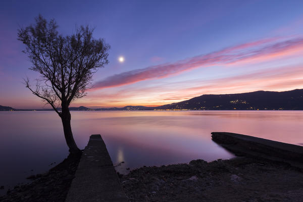 A lonely tree at the Arolo pier during an autumnal sunset, Arolo, Leggiuno, Lake Maggiore, Varese Province, Lombardy, Italy.